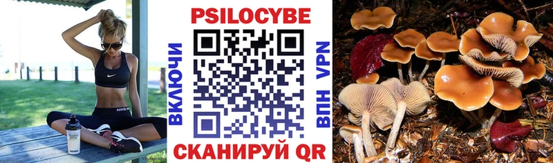 Галлюциногенные грибы мухоморы где купить наркоту Печора